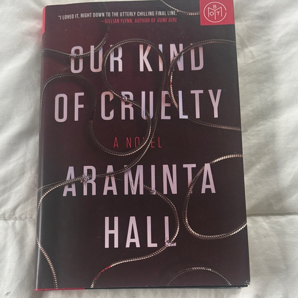Our Kind of Cruelty Novel